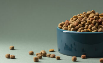 pet food